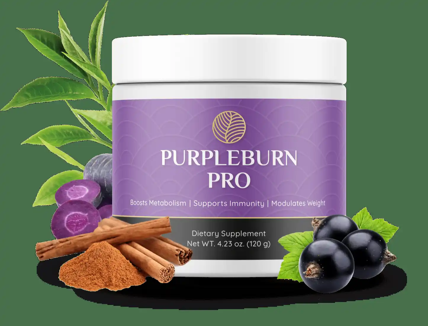 Purple Burn logo - Australia